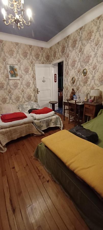 Chez Virginie Apartment Lourdes Bagian luar foto